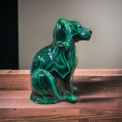 CHIEN MALACHITE