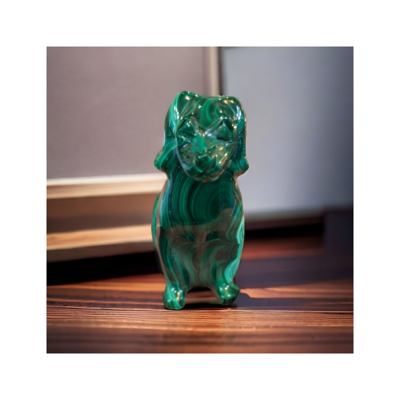 CHIEN MALACHITE