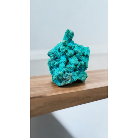 PSEUDOMORPHOSE AZURITE CHRYSOCOLLE