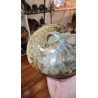 AMMONITE FORME NATURELLE 3